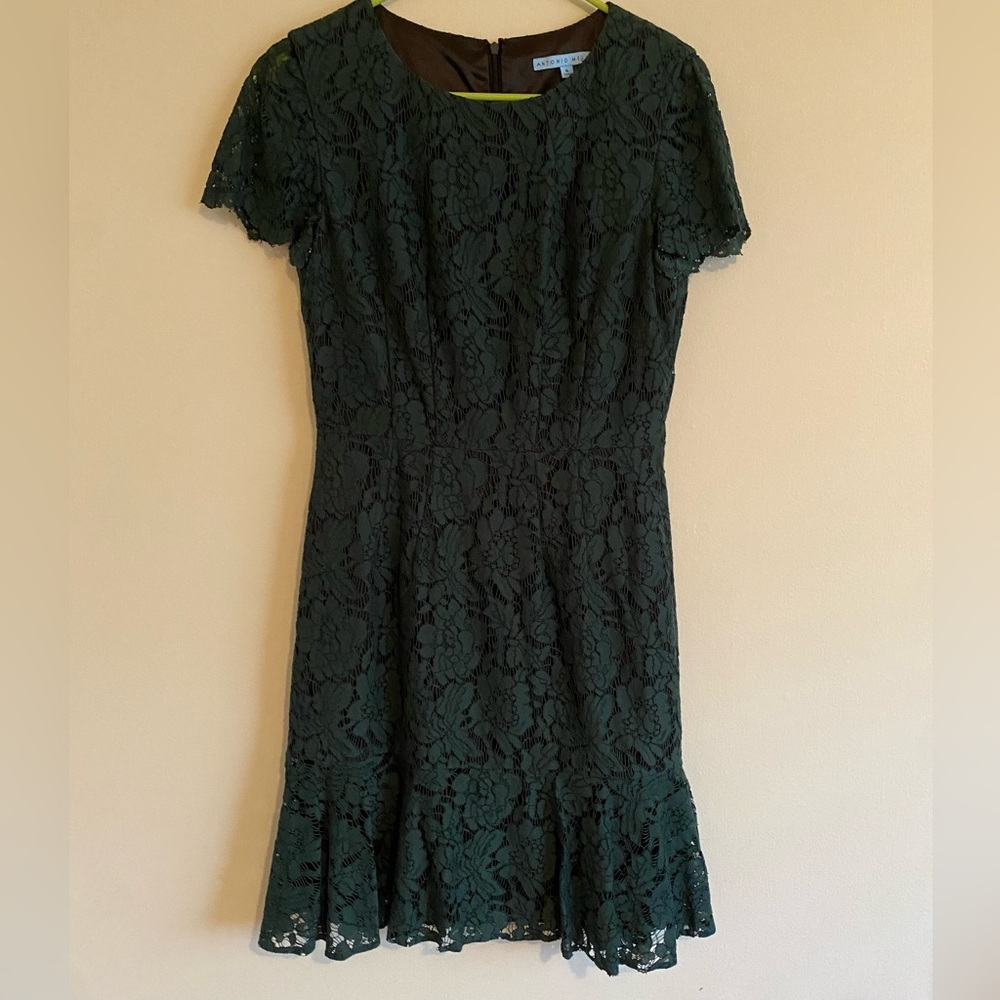 Antonio Melani Green Lace Dress